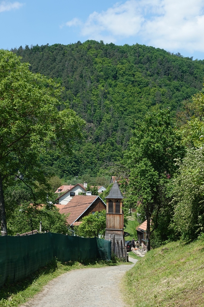 Borač