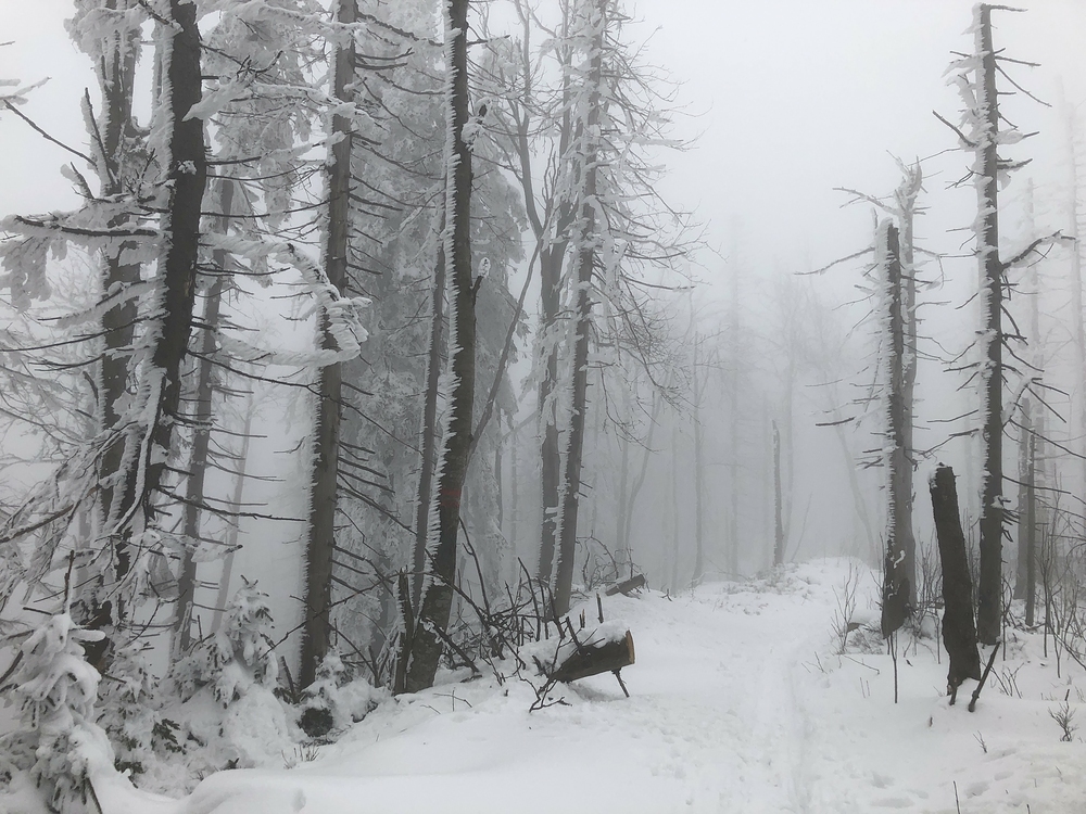 Na nejvyšších místech hřebene