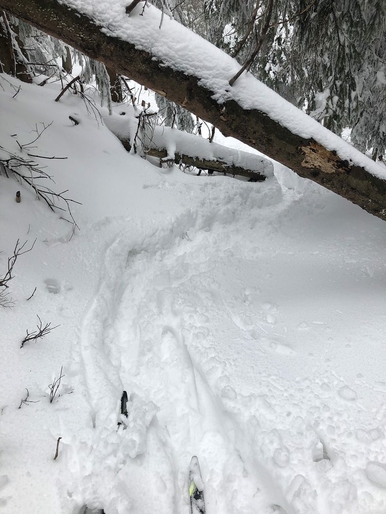 Na běžkách jsem zvádal vše