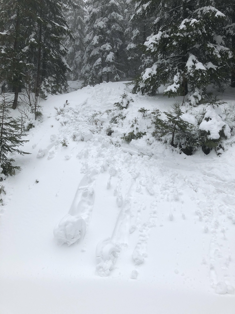 Ano, i tohle je má stopa