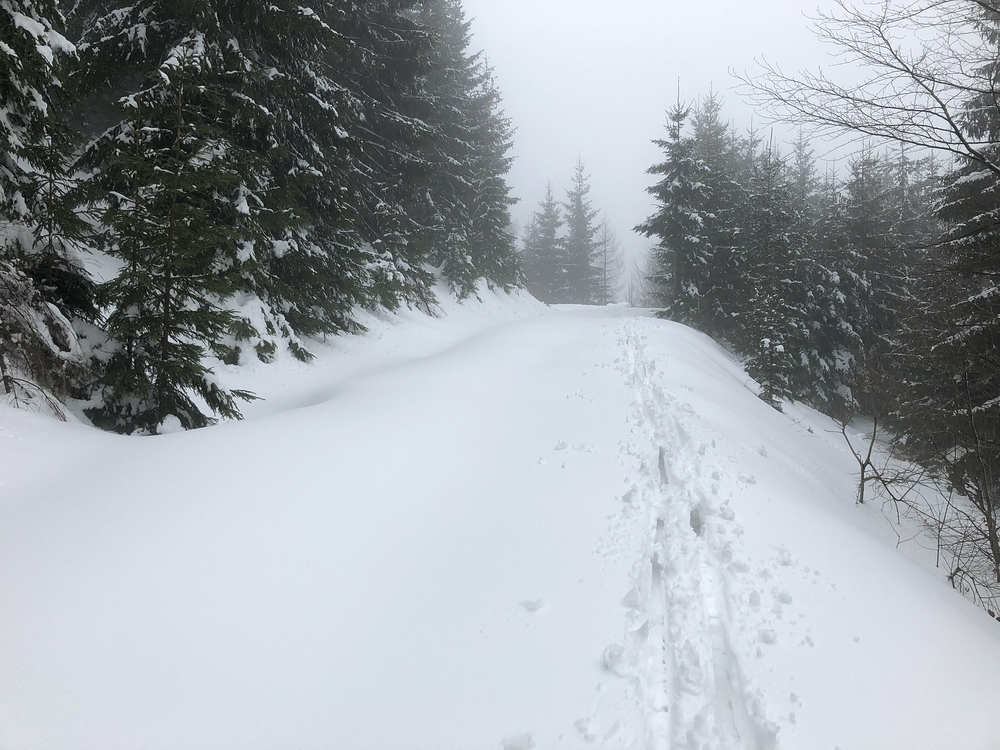 Na hlavní trase mezi Slavíčem a Bílým křížem.