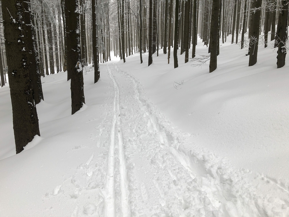 Konečně trošku pohoda