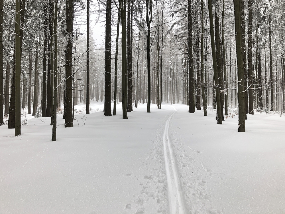 Za odměnu pár kiláků takhle