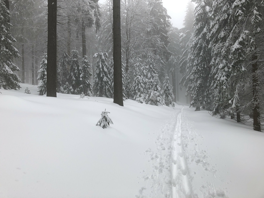 Ještě kousek na Ostrý a pak dolů