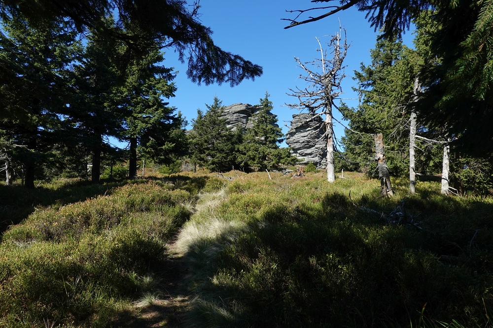 Chodníček mimo značky z Furmanky na Vozku