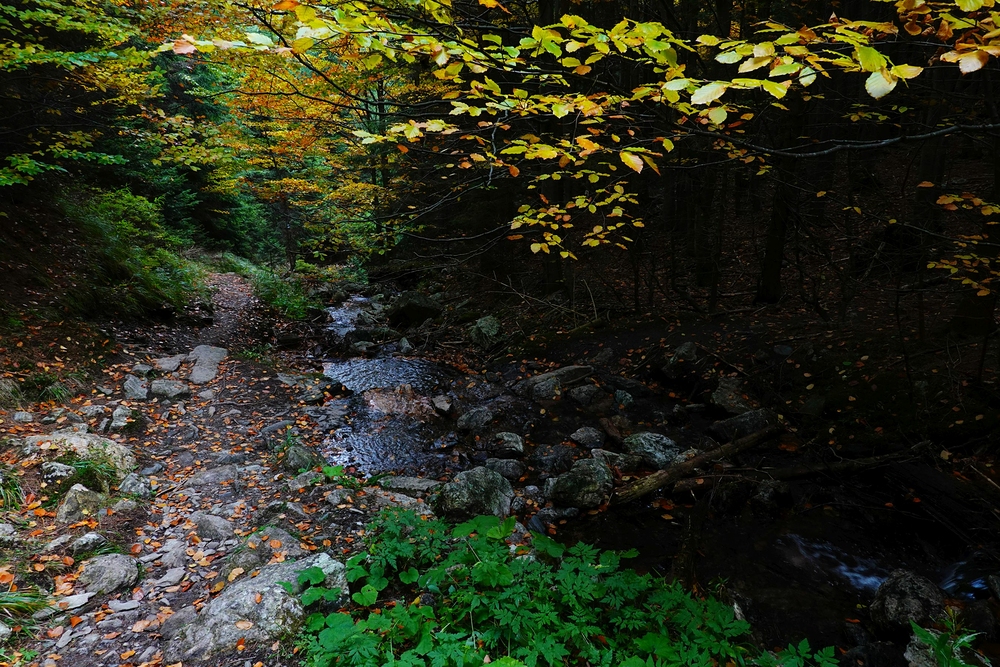 Dolů podél Střední Opavy