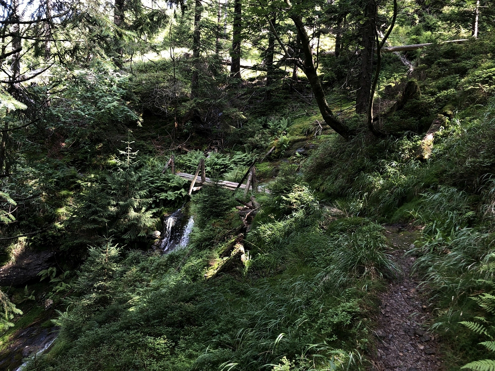 Blížíme se ke konci