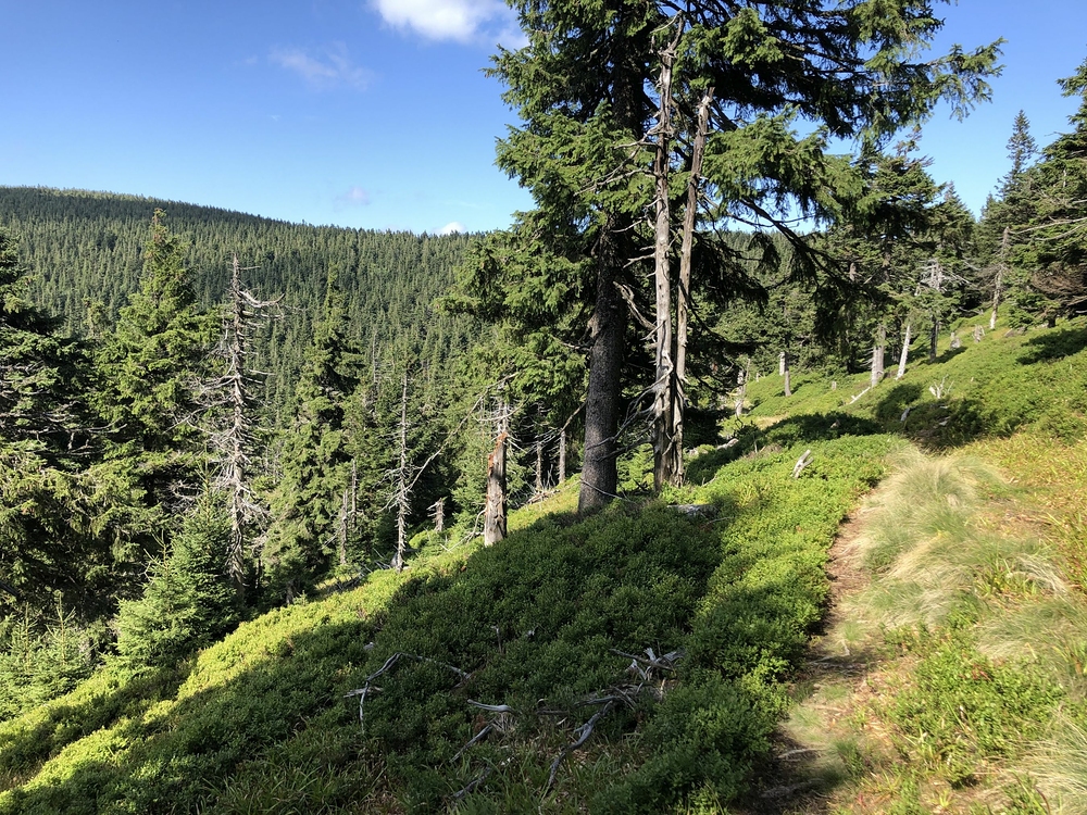 Blížíme se k Šeráku