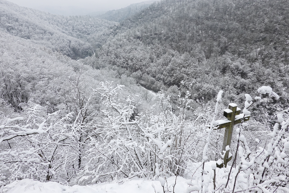 Vyběhl jsem si to jen sám. Ke kříži by to stejně bylo o hubu.