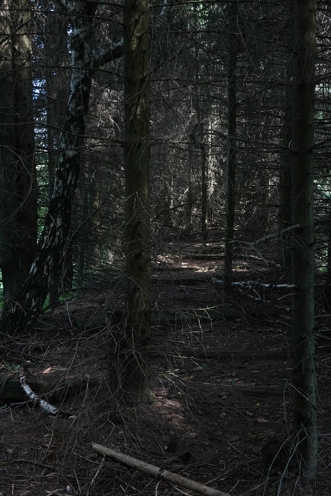 Tudy kdysi vedla trať, je to vysoko v horách