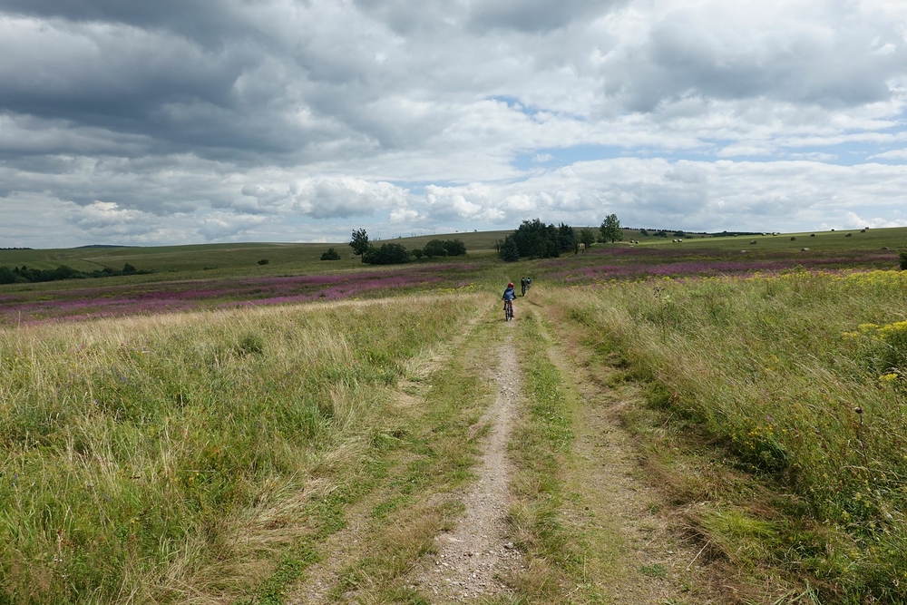 Tady někde stála obec Pastviny
