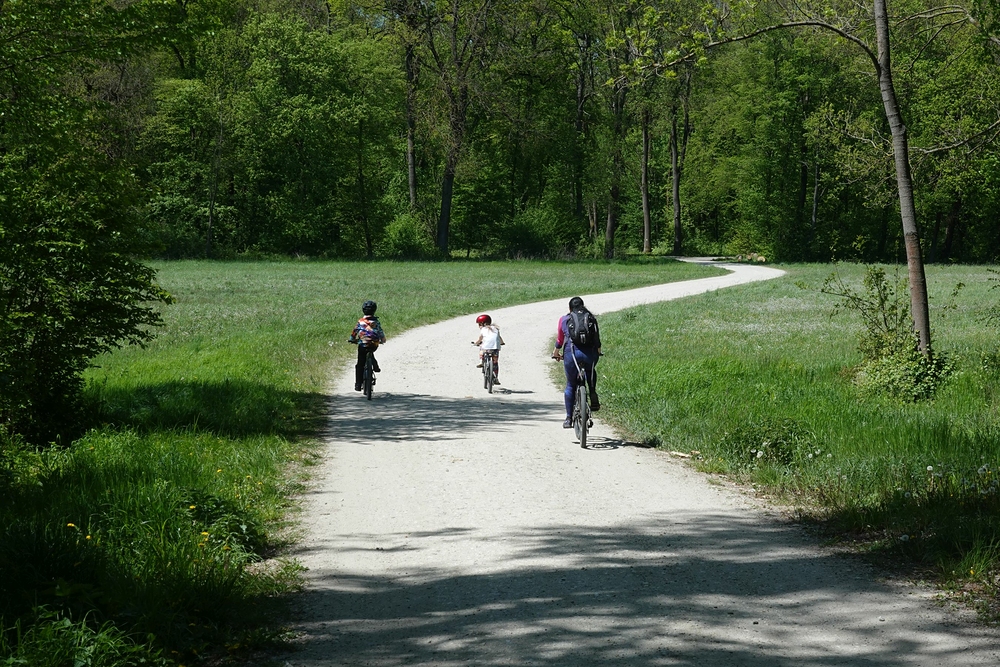 Žádné bahno, kopce ani auta, tohle je za odměnu