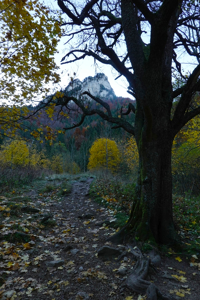 Nástup do Horných dier