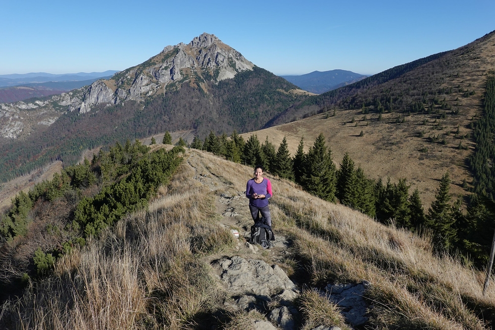 Zastávka s mobilem v ruce