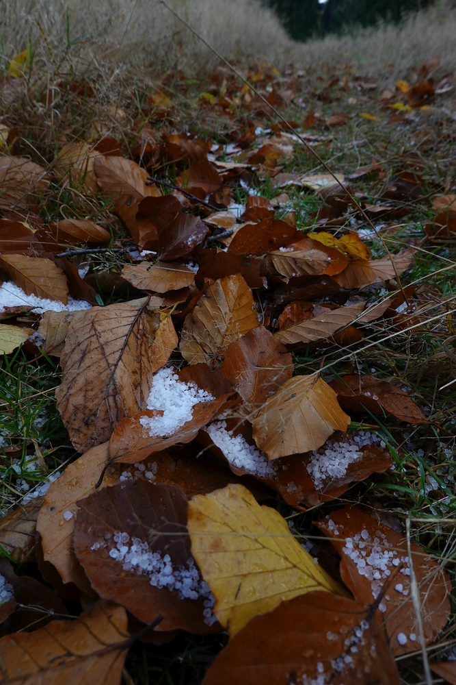Pršelo a padaly kroupy