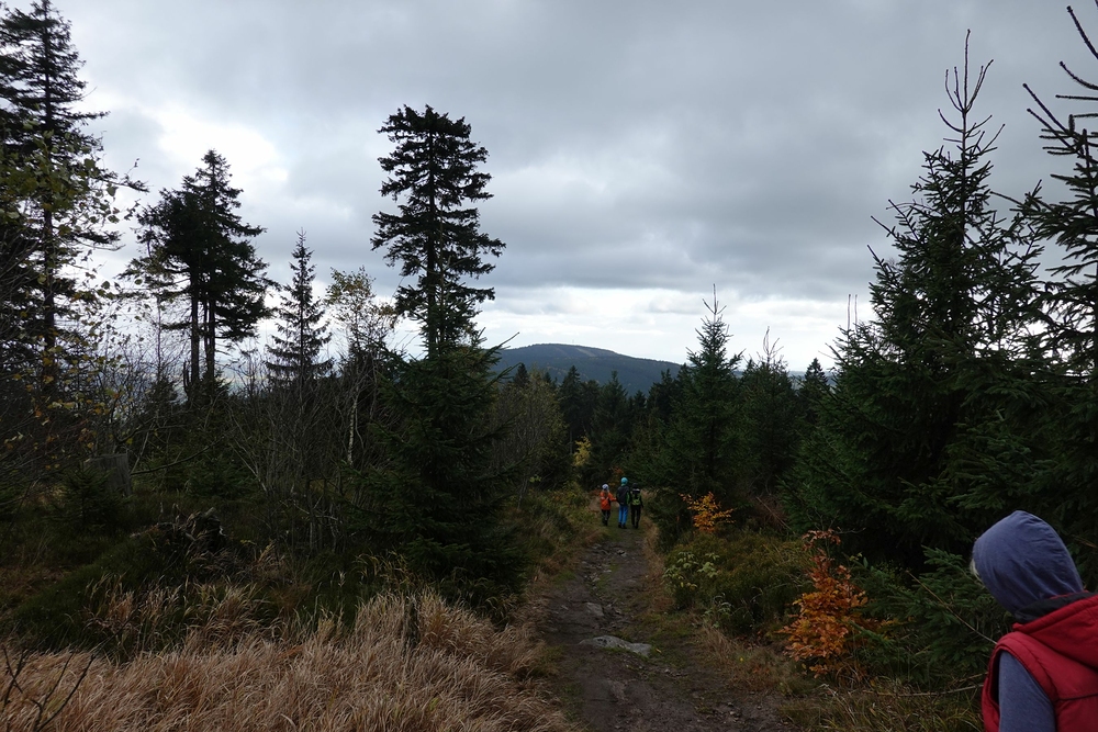 Cestou na Suchý vrch