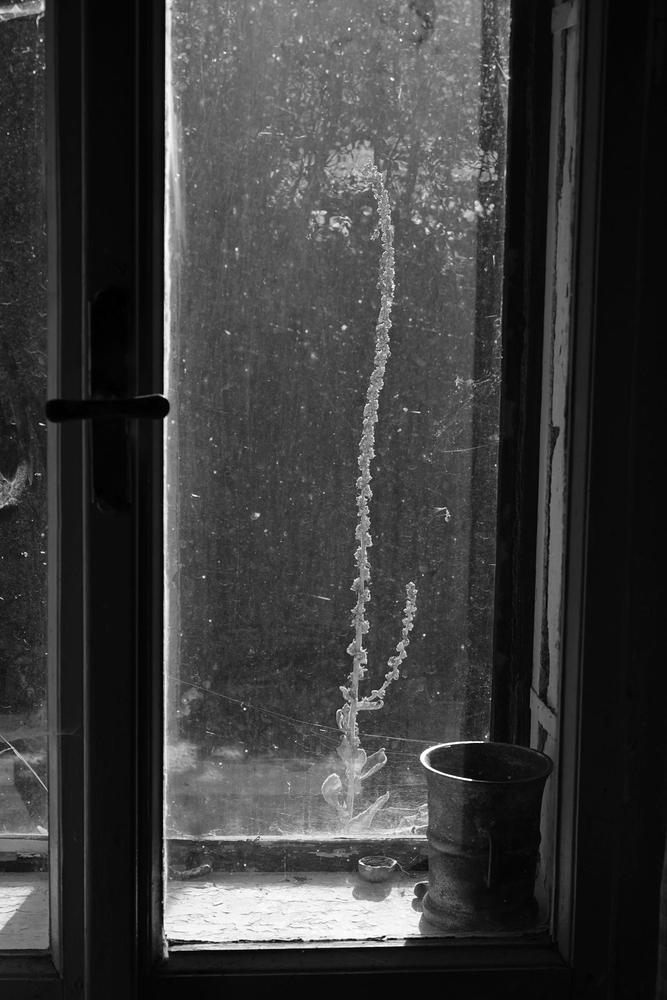 Ve staré sudetské chalupě