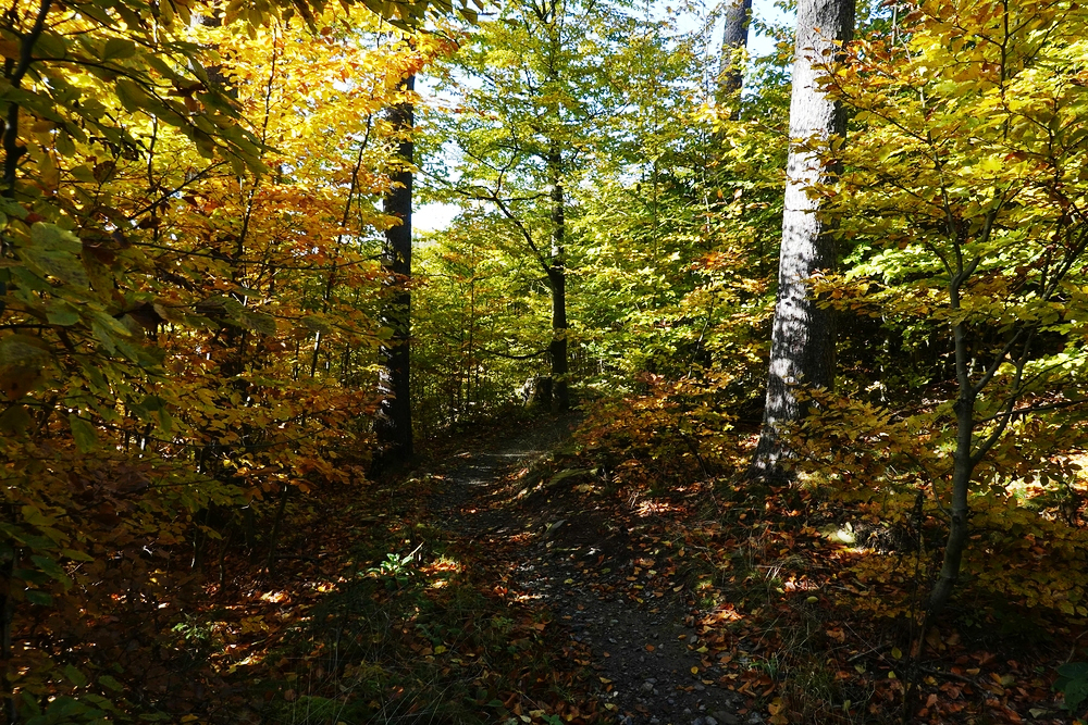 Červený singletrail