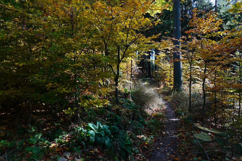 Červený singletrail