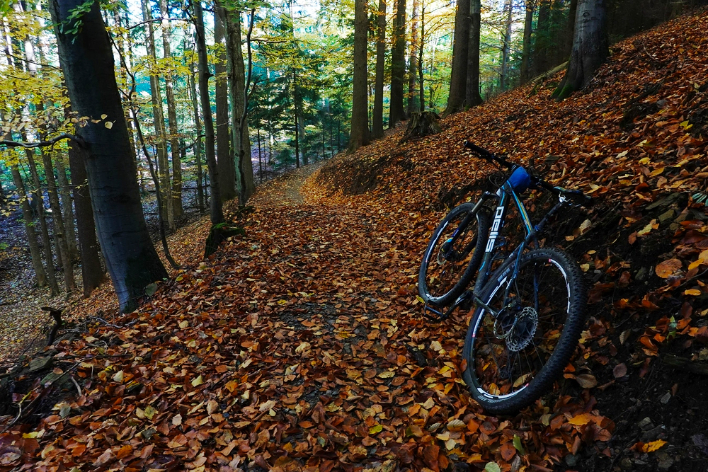 Červený singletrail se místy ztrácel v listí