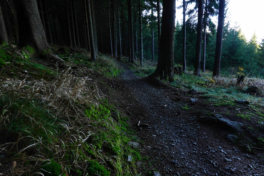 Červený singletrail