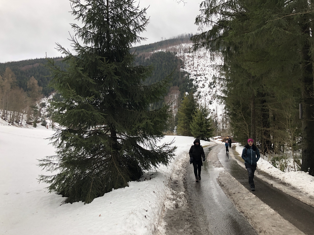 Vycházíme z Lomné