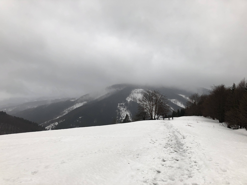 Vzadu prales Mionši a hraniční hřeben