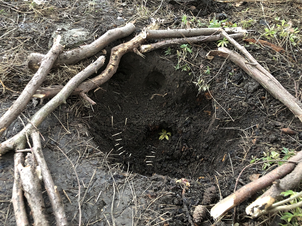 Domeček pro skřítky