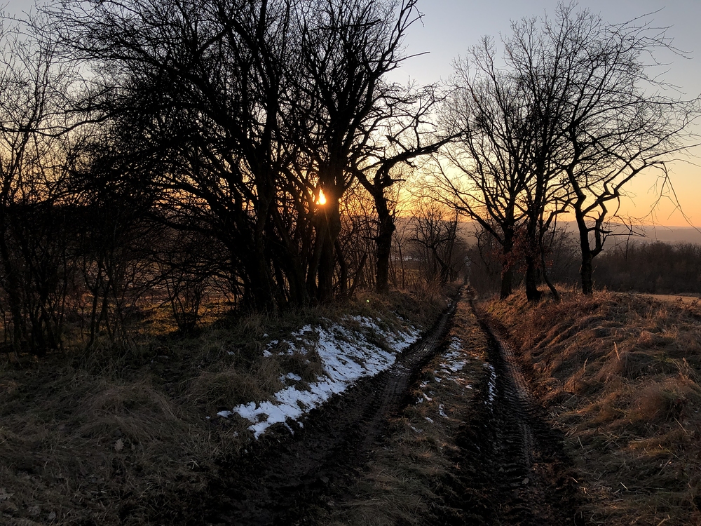 U Ladě ve Střelicích