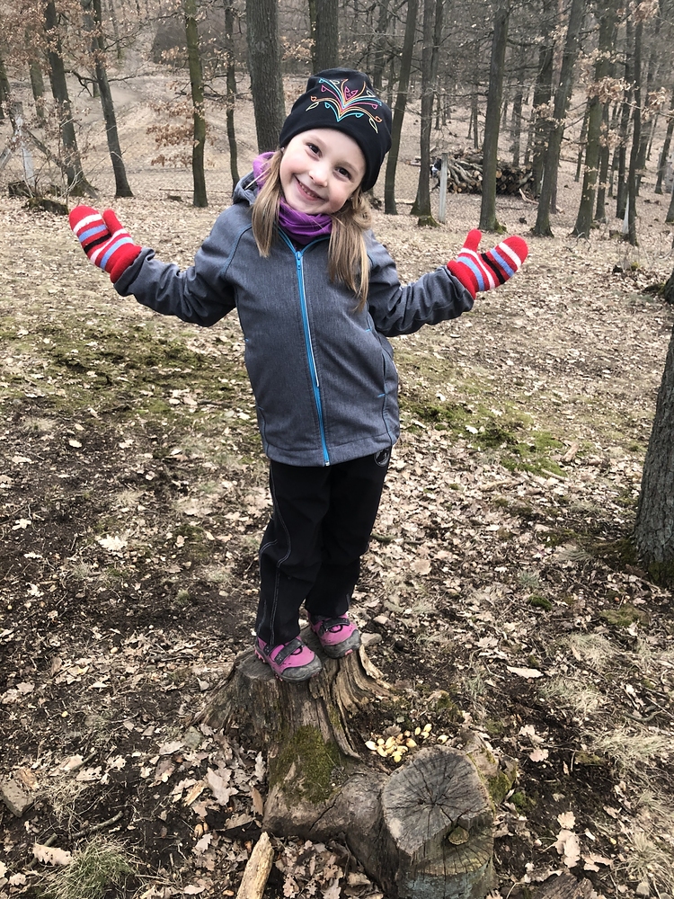 Procházka do obory Holedná