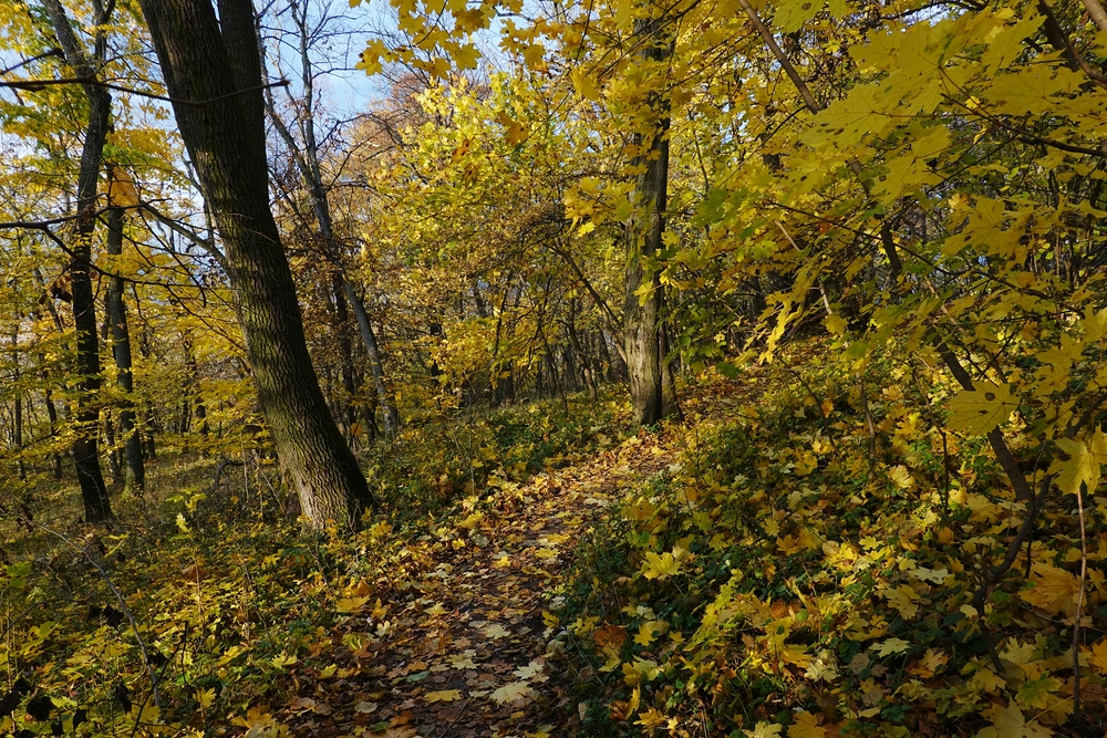 Pozdimní cestička do soutěsky