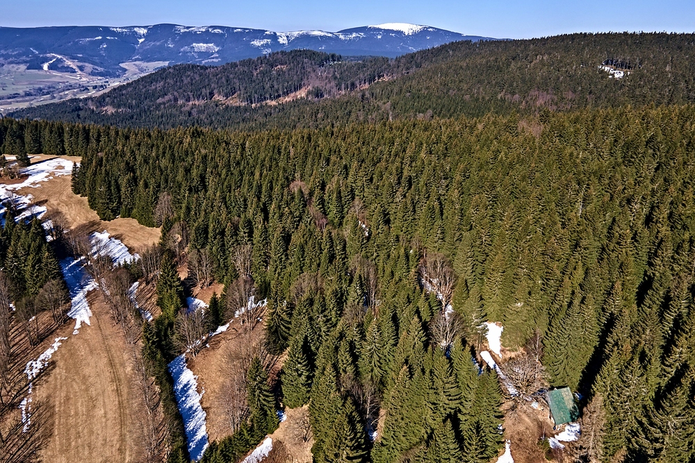Vpravo dole Boženka, vzadu Kraličák (fotil Dan)