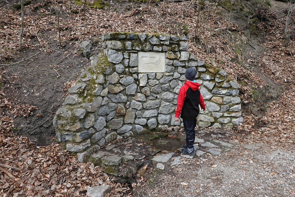 Bažantí studánka
