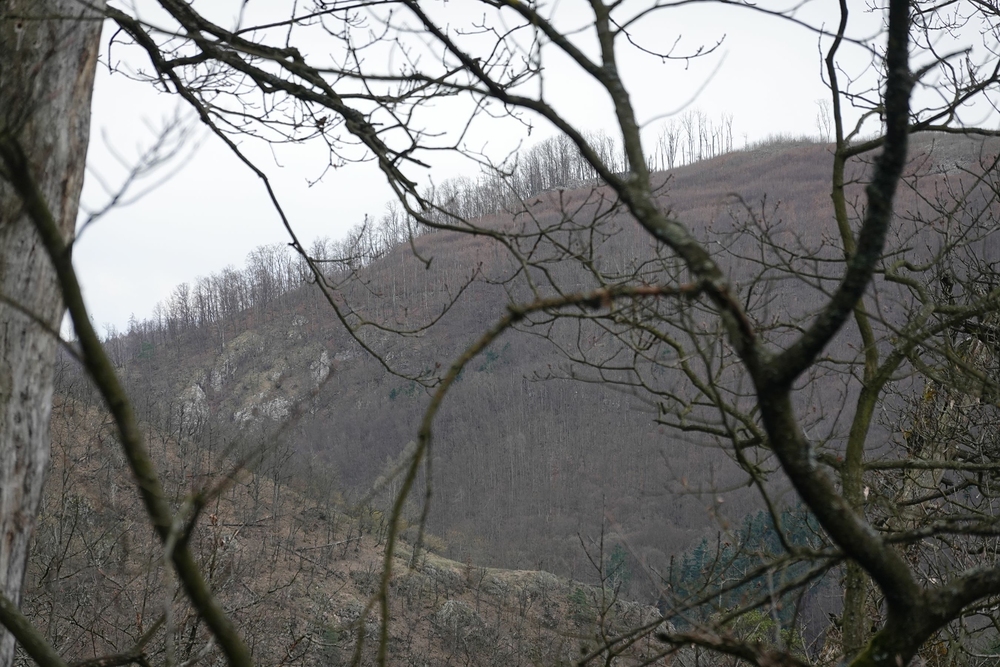 Včera jsem byl naproti