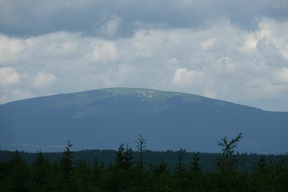 Kralický Sněžník na dosah