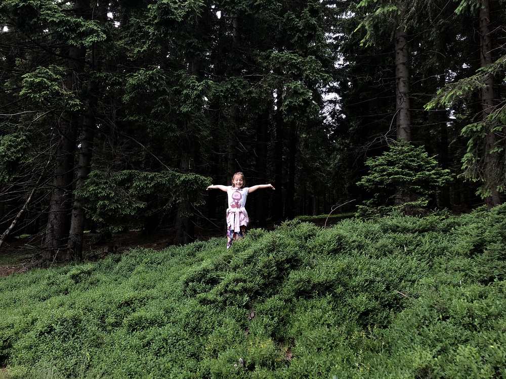 Borůvkový skřítek