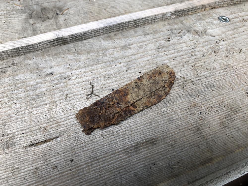 Nalezeno detektorem ve svahu pod chatou