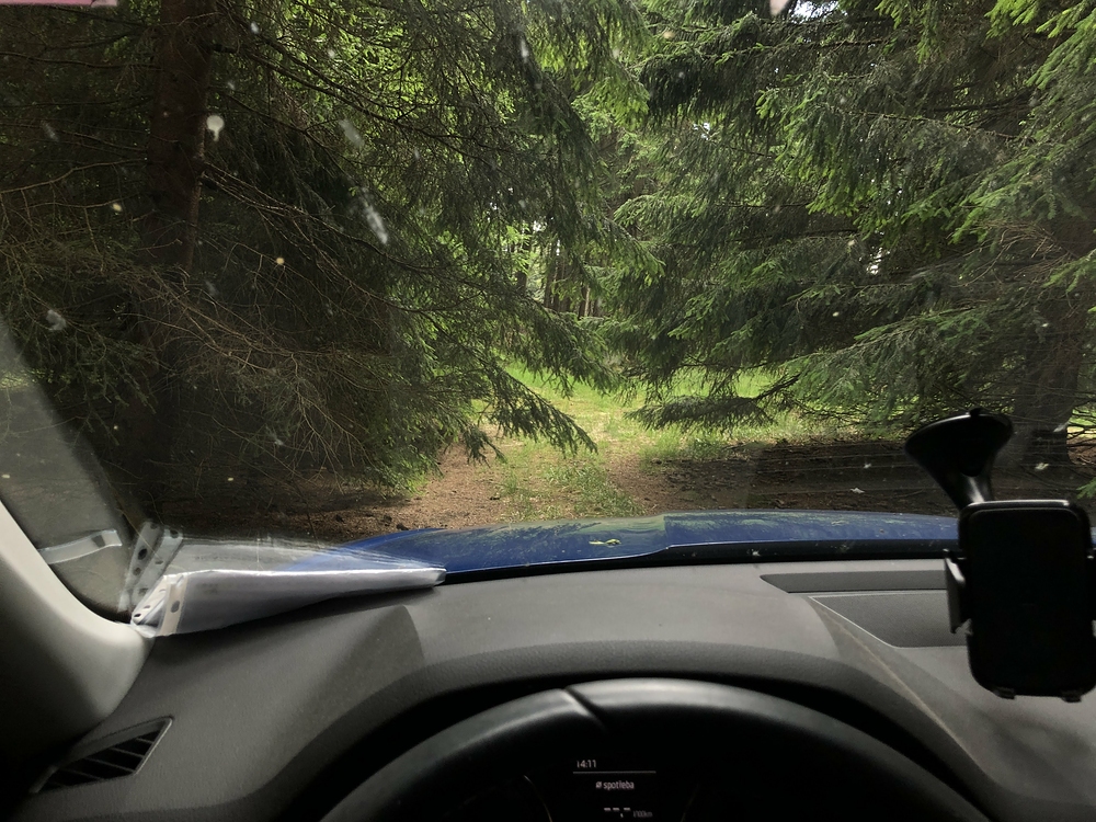 Cesta k chatě nějak zarůstá