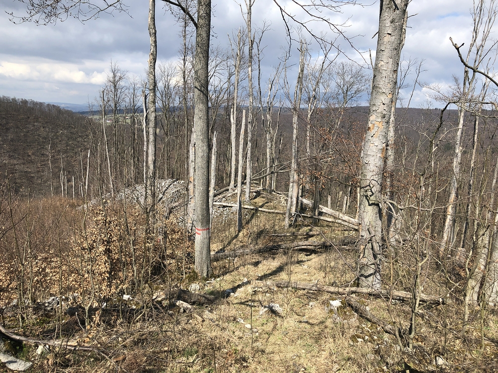 Jelenec, tady nechávám kolo