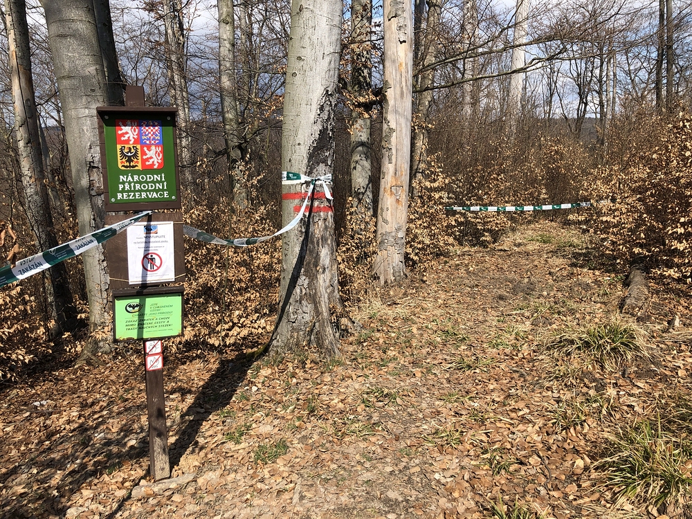 Cestou zpátky jsem potkal tohle