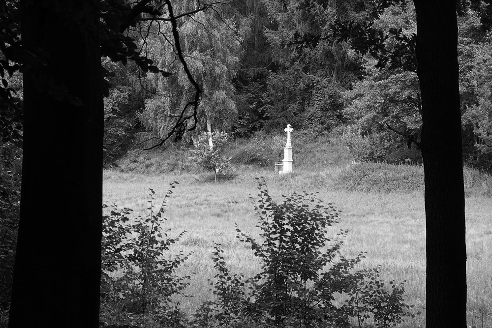 I křížky se našly