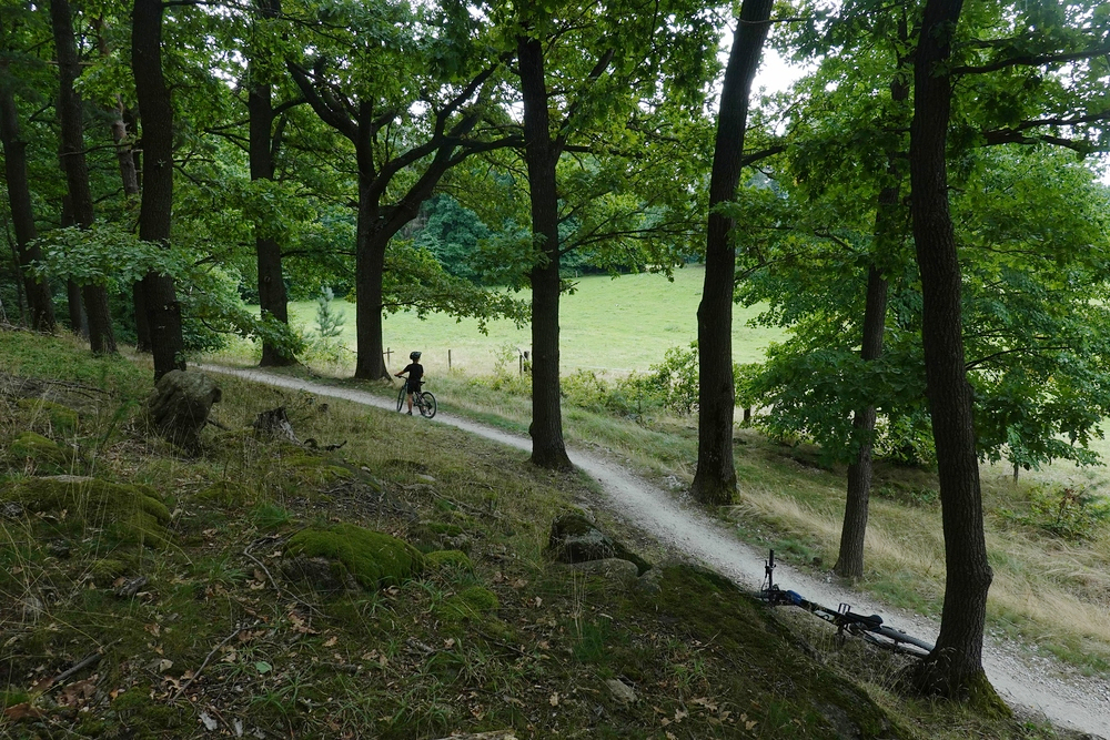 Zastávka s rozhledem