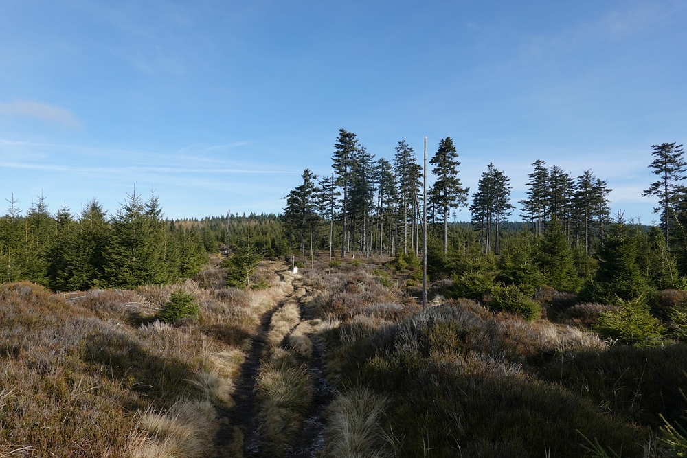 Hřeben nad Paprskem
