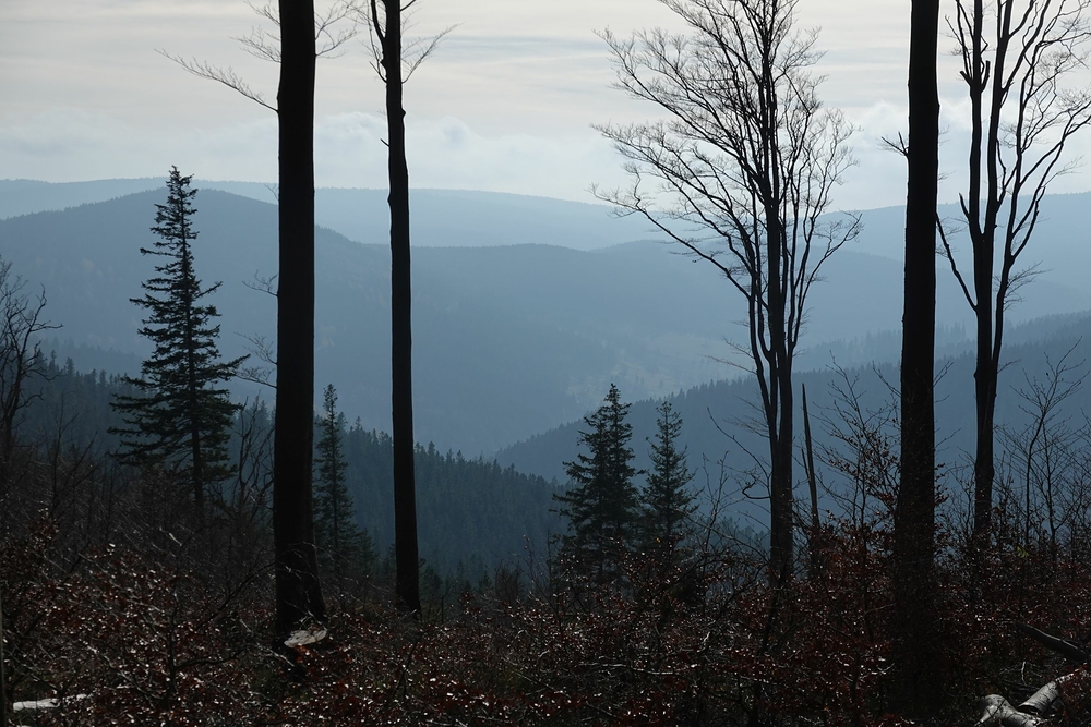 Podzimní hory v Polsku