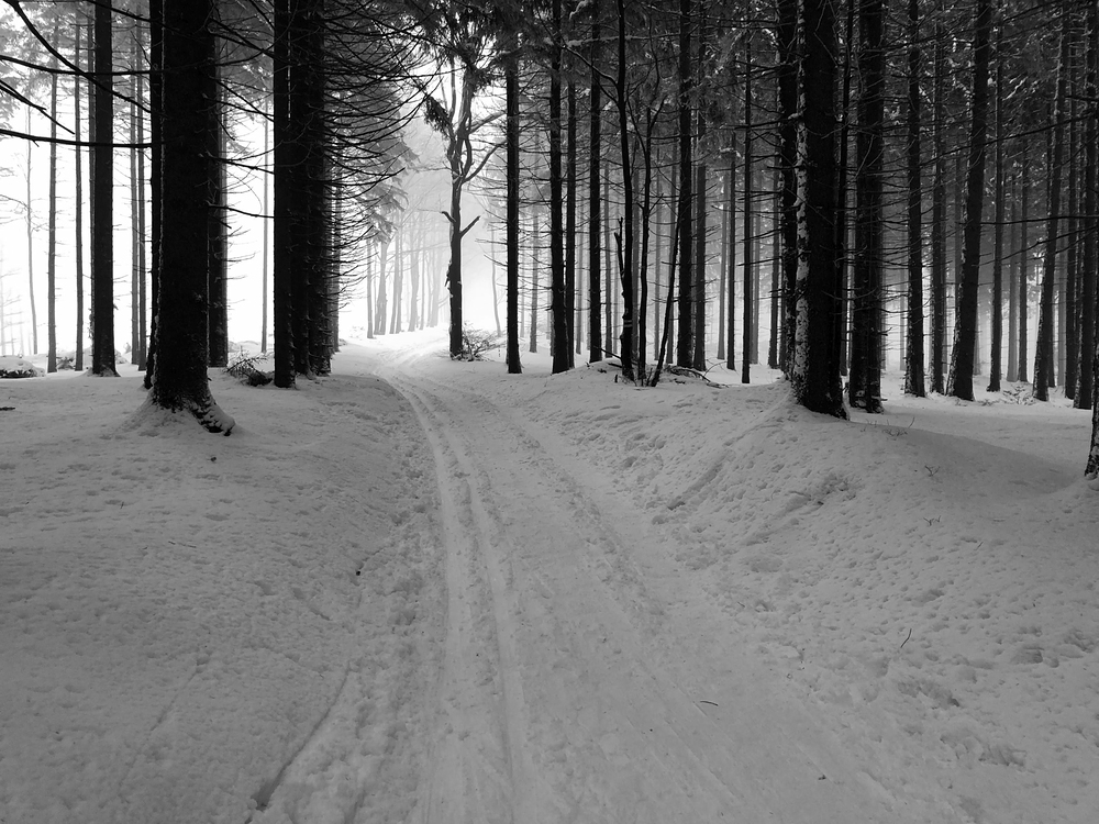 Stopy ještě než je zničil nějaký jeep (stejně nevyjel a musel couvat)