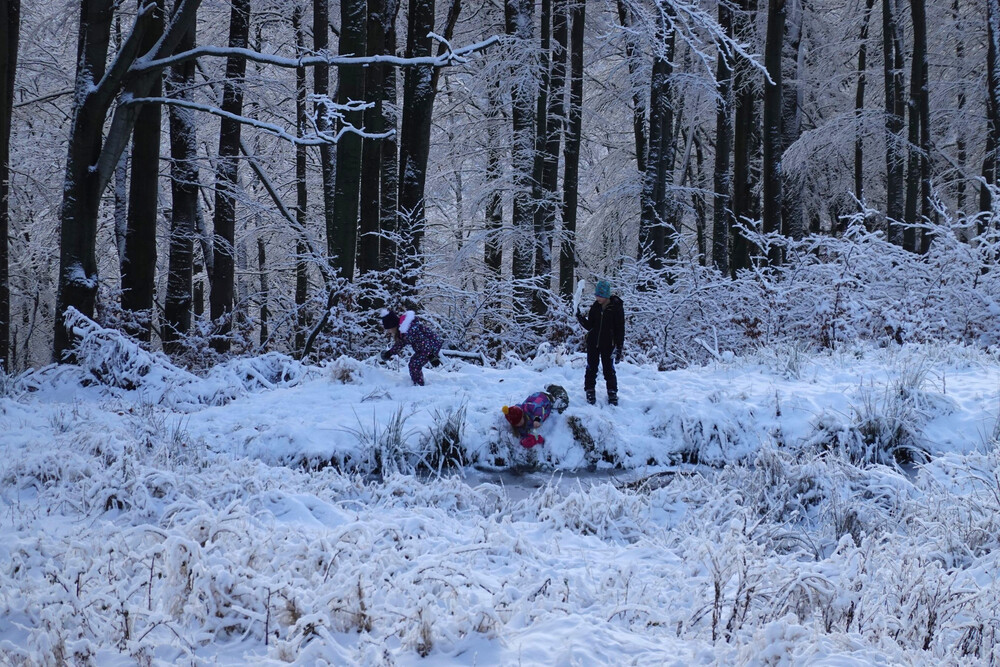 No, ale nikdo tam nespadl