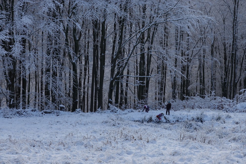 Dole si hrají děti