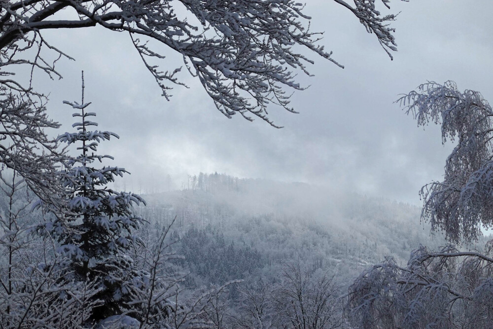 Výhled na Kozubovou