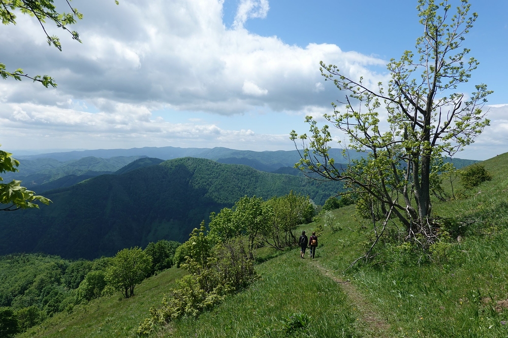 Teď už jen z kopce