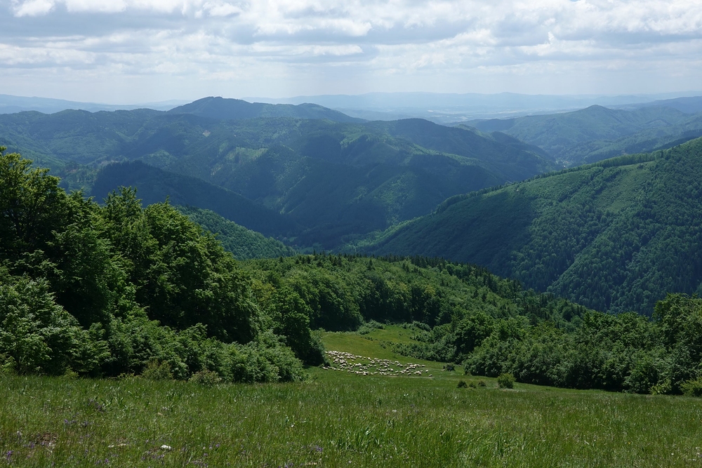 Kolem oveček do Turecké